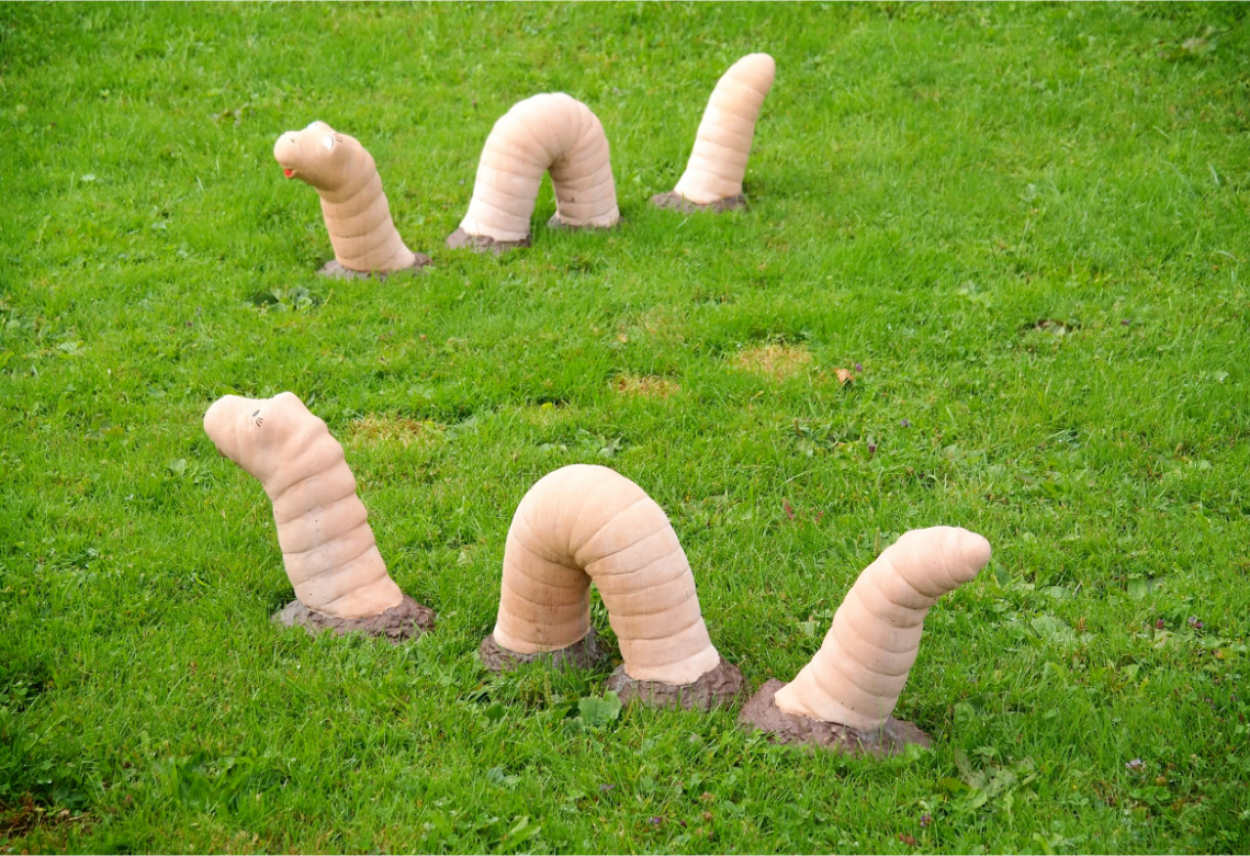 funny picture in dirt