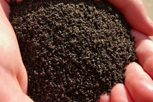 organic soil supplement in hands