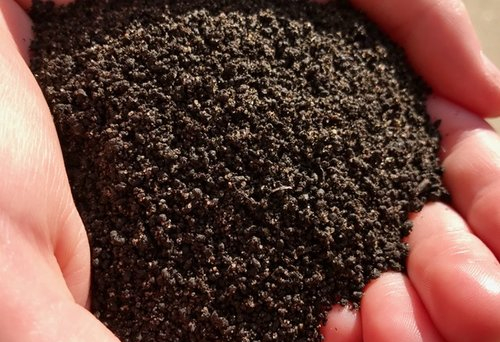 organic worm castings for sale