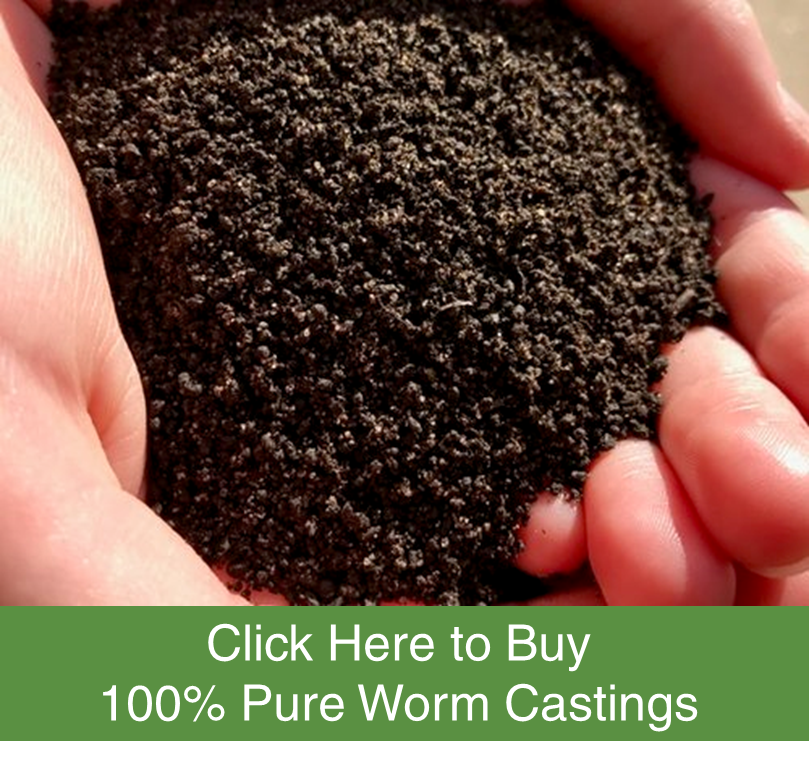 30 pound bag of worm castings