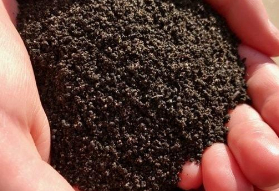 Buy Bulk Earthworm Castings