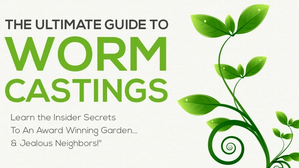 Guide to Worm Castings