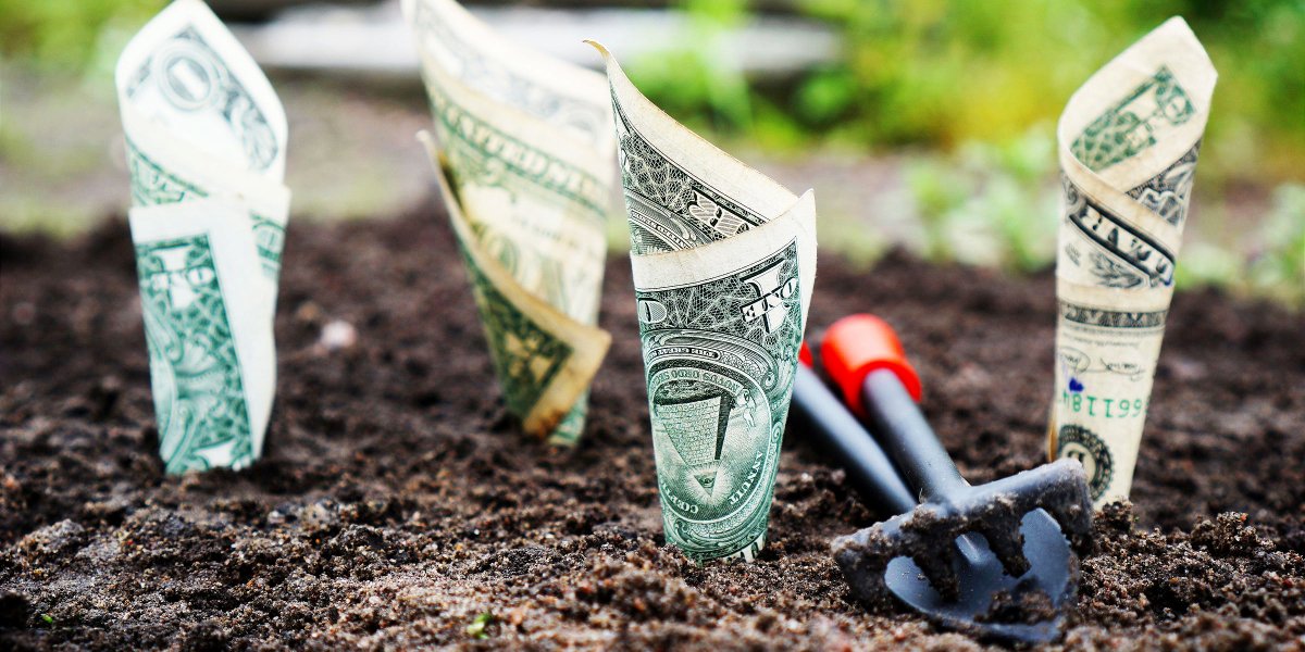 cost of organic fertilizer